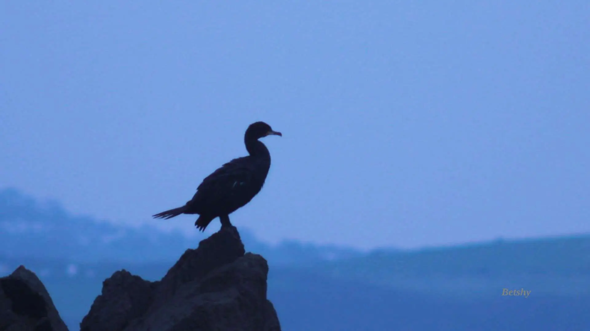 Kingsand in Cornwall