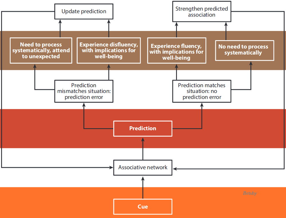 Prediction-Observation Model