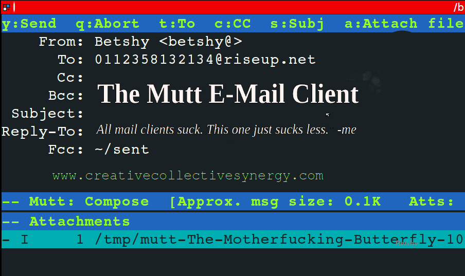 Mutt: IMAP & SMTP Configuration (Linux Terminal)