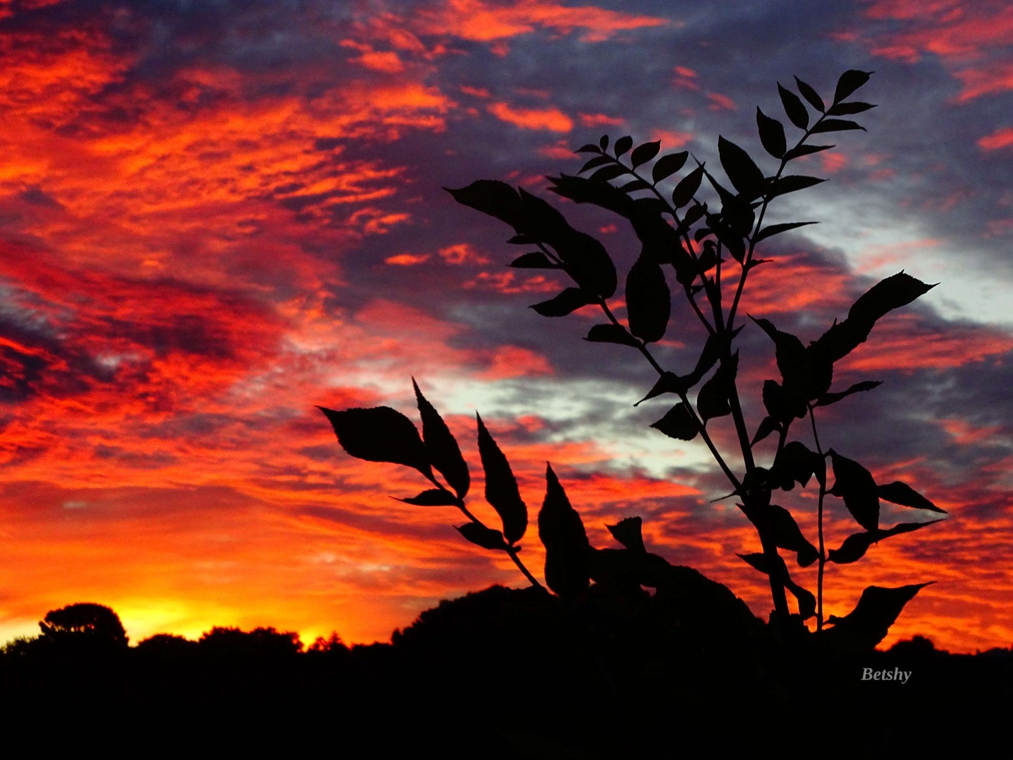 Fiery Dawn