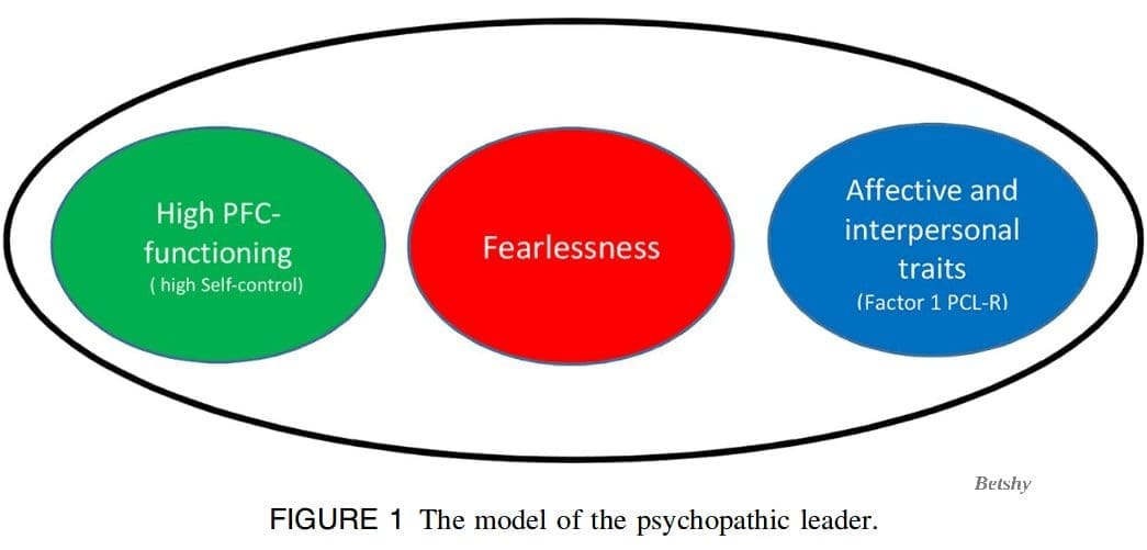 The Psychopathic Leader