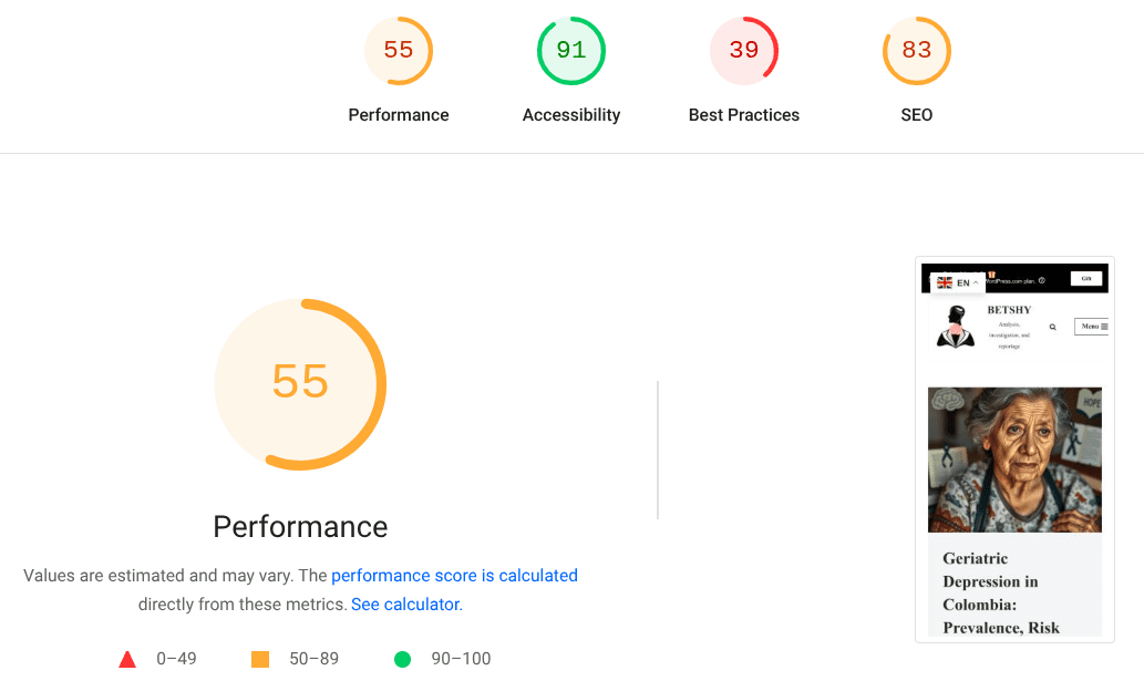 Screenshot of performance metrics showing scores for Performance, Accessibility, Best Practices, and SEO.